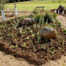 Garden bed was protected by netting fence