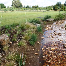 Creek looking south Sept 2010