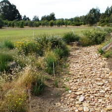 Creek looking south Sept 2011